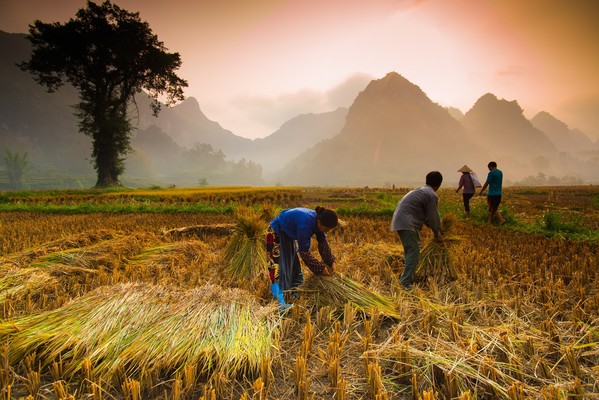 Quand partir au Vietnam