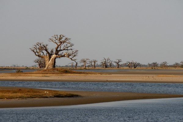 Pourquoi voyager au Sénégal