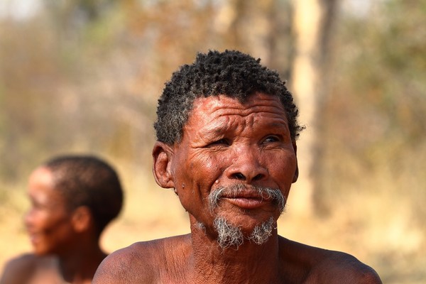 Pourquoi voyager en Namibie