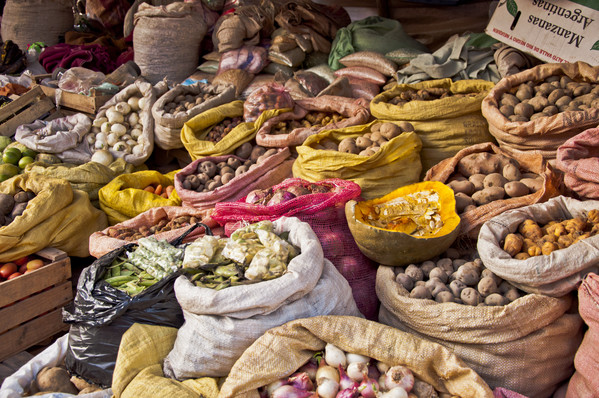 Bolivie Voyage grande variété de pommes de terre