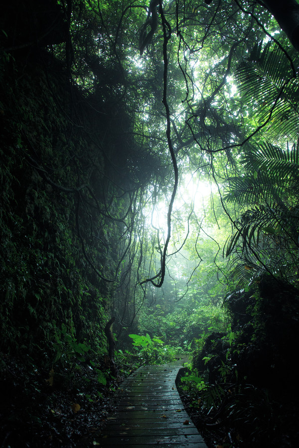 La montagne des singes à Kaohsiung