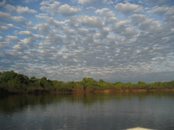 Brésil voyage Pantanal rivière