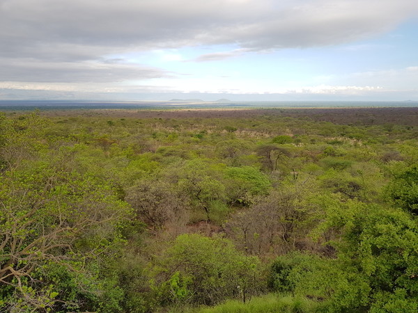 voyage afrique tanzanie tarangire