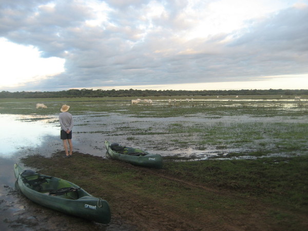 Brésil Voyage Pantanal