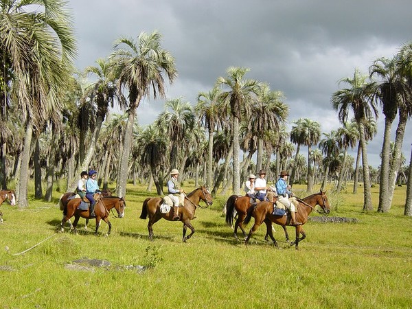 Uruguay Voyage à cheval entre palmiers