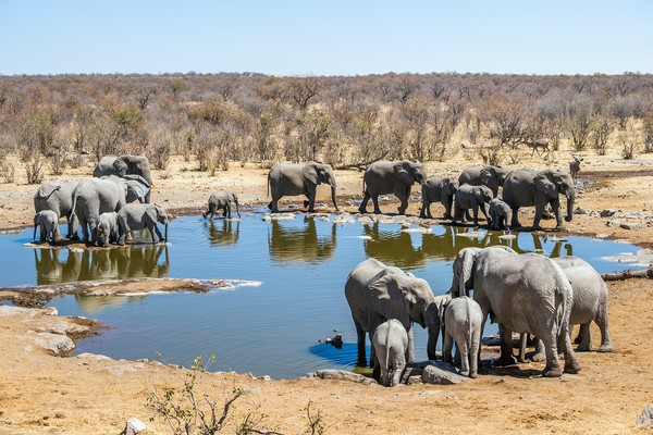 Quand partir en Namibie