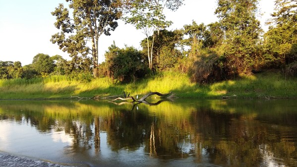 Voyage Bolivie forêt amazonienne