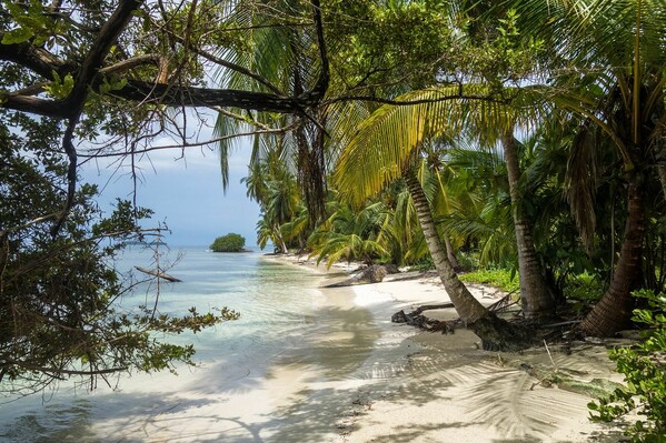 Quand partir au Panama