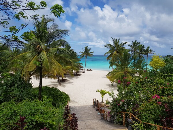 Voyage à Zanzibar :