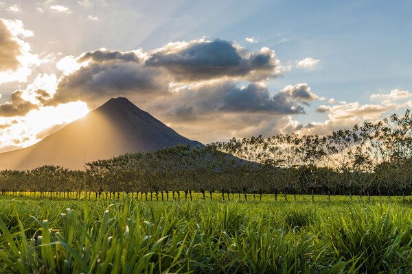 Le volcan Arenal, vu de La Fortuna de San Carlos, Costa Rica, Amérique centrale