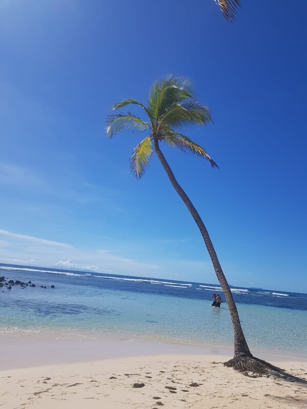 Explorer la Guadeloupe côté nature et émotions