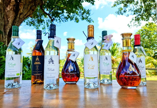 La Martinique : douceur, rencontres marines et culture du rhum