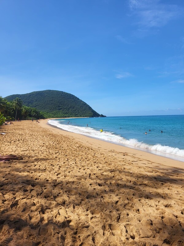 Première immersion en Guadeloupe