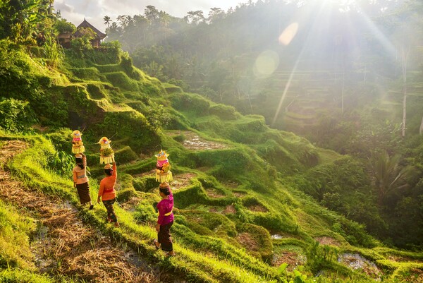 Bali en Indonésie