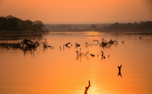 voyage-zambie-south luangwa