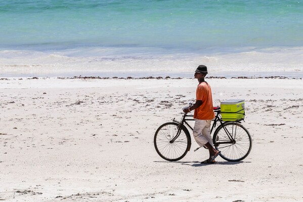 Safari Kenya plage