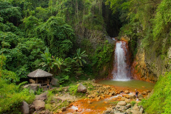 Voyage aux Philippines - Negros