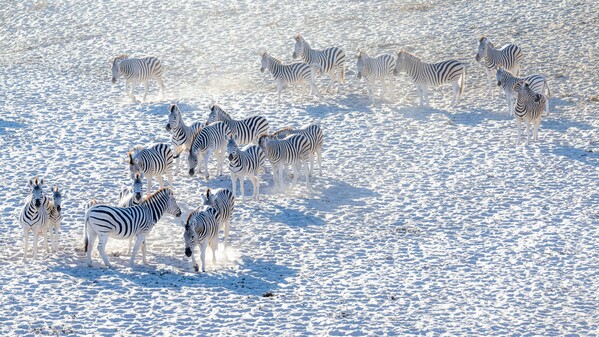 voyage Safari Botswana