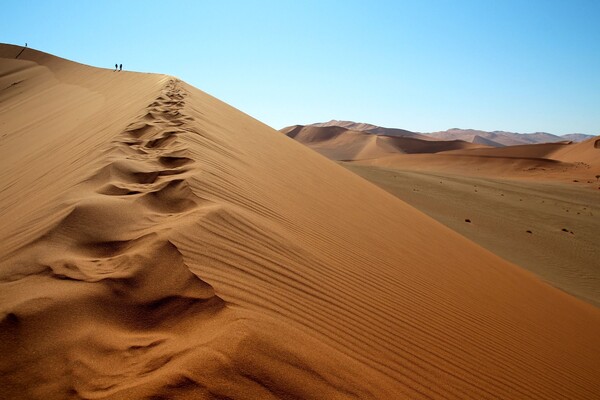 Voyage en Namibie
