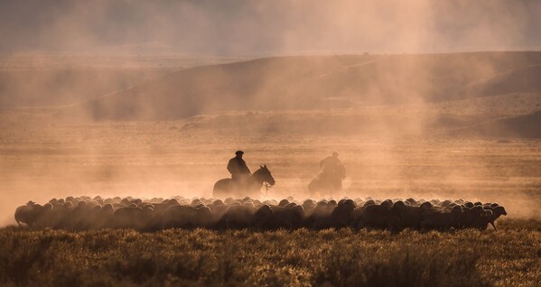 Voyage en Argentine