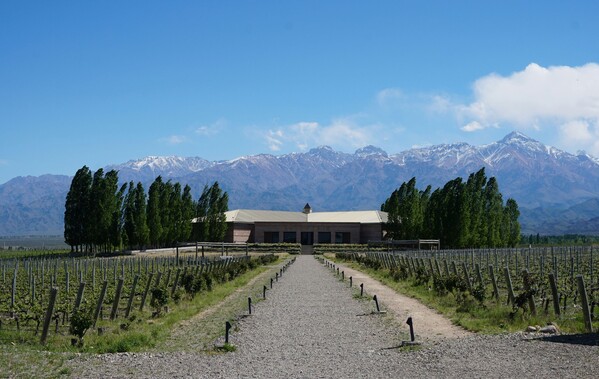 Voyage en Argentine Mendoza