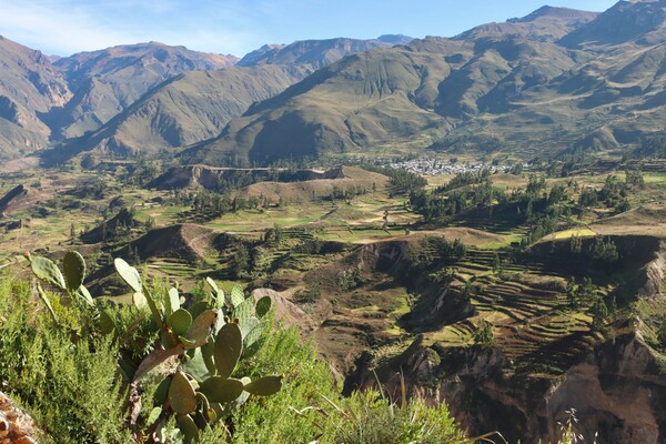 Voyage au Pérou - Canyon de Colca