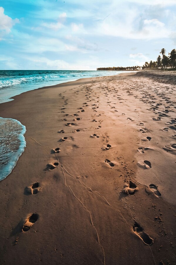 Voyage au Brésil - Praia do Forte