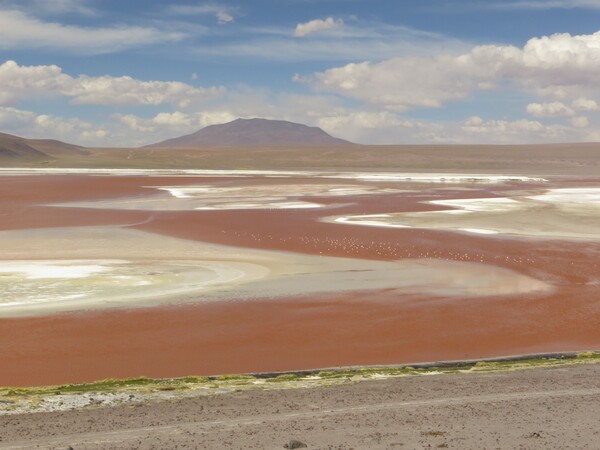 Voyage en Bolivie - Laguna Colorada