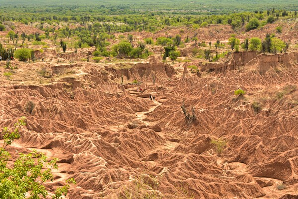 Voyage en Colombie - Desierto de la Tatacoa, Villavieja, Huila, Colombia