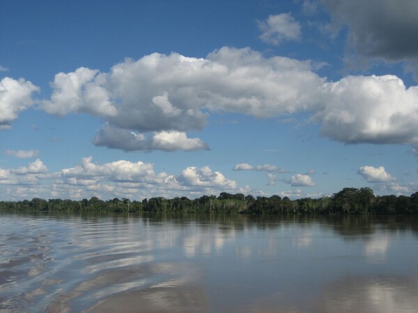 Voyage en Amazonie  Réserve Nationale de Pacaya-Samiria