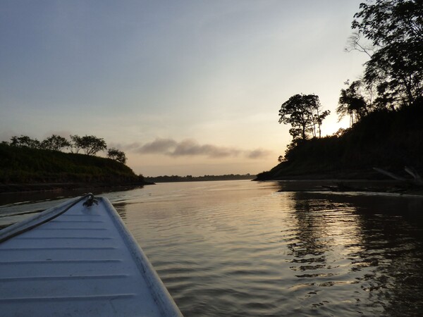 Voyage au Brésil - Amazonie
