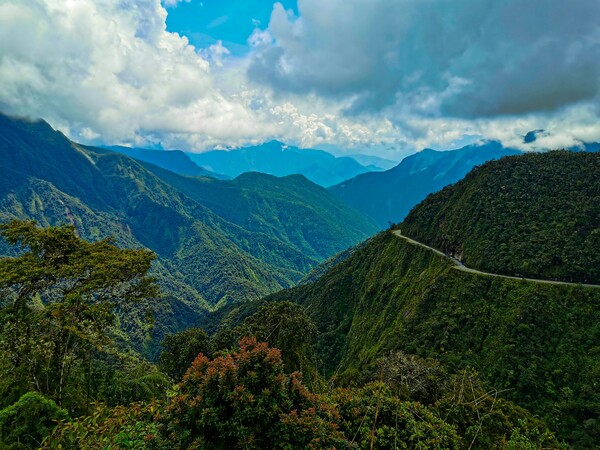 Voyage en Bolivie - Yungas