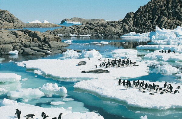 Voyage en Antarctique