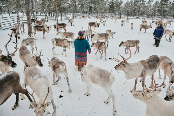 Details of life of small peoples of the North Khanty at their reindeer camp