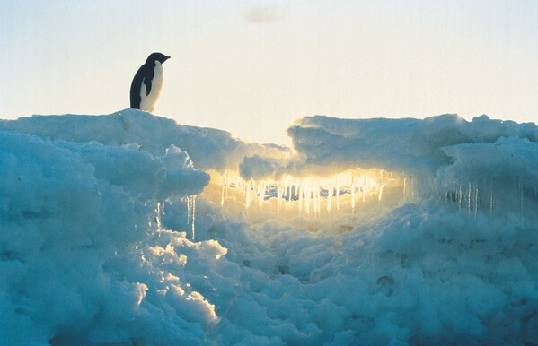 Voyage Antarctique