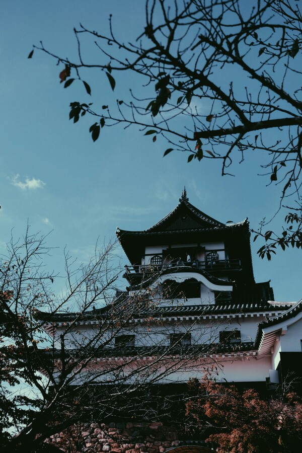 Seki Castle