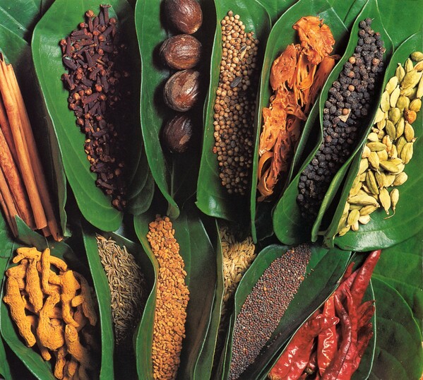 Gastronomie - culture Sri Lanka