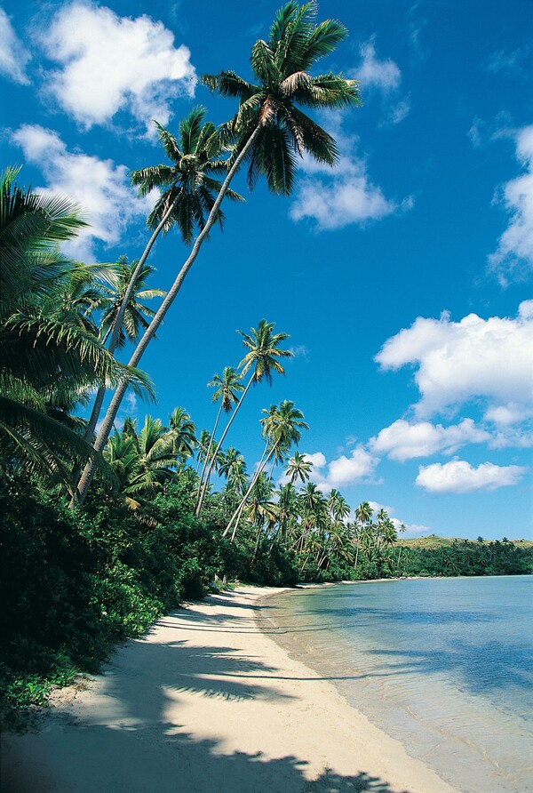 plage de sable blanc blanc Martinique
