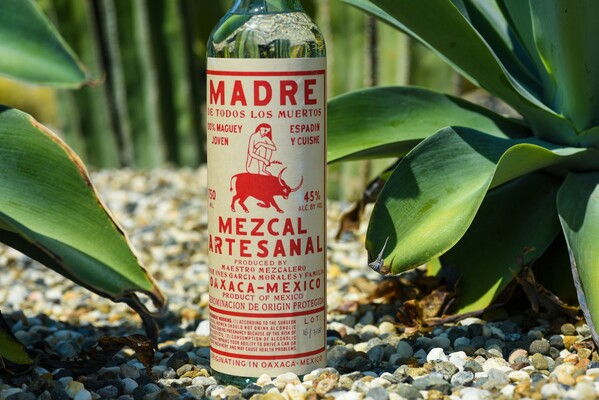 Mezcal boisson