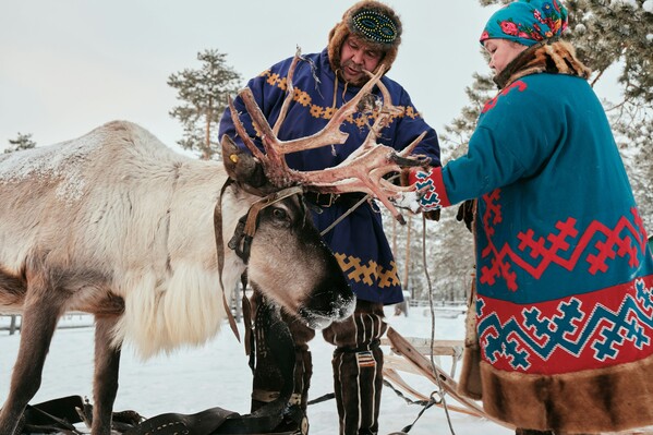Details of life of small peoples of the North Khanty at their reindeer camp