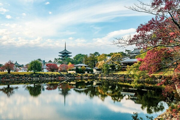 Nara Japon