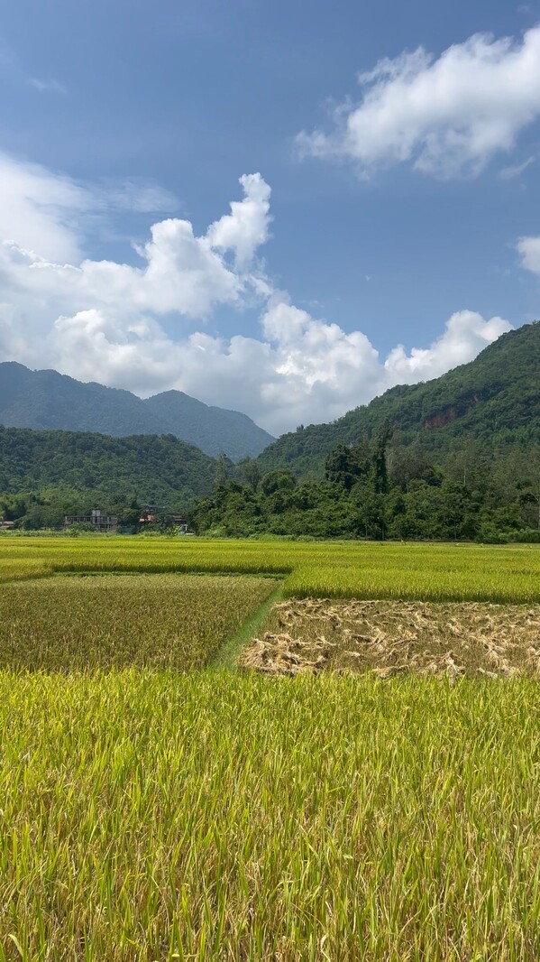 Mai Châu - nord du Vietnam