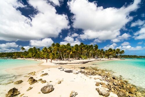 Belle plage paradisiaque sur l'île tropicale de Guadeloupe