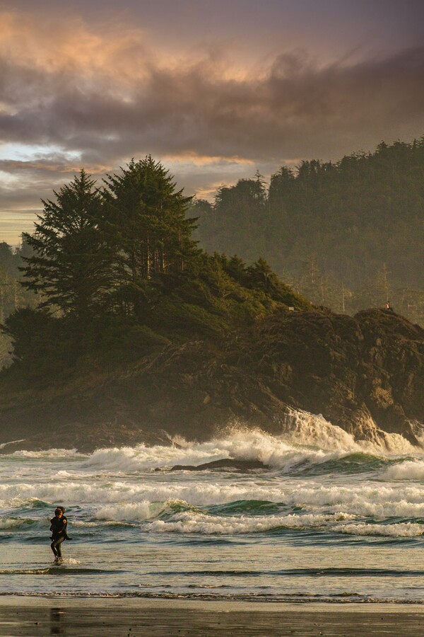 Tofino