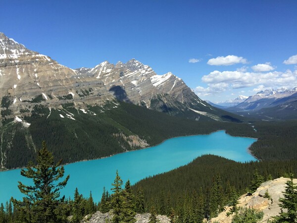 Lac Peyto - Ouest Canada