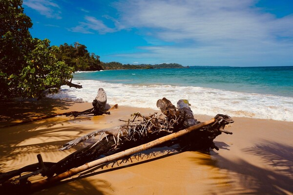 Bastimentos Islands, Bocas del Toro - Panama