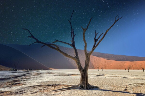 Deadvlei, Sossusvlei, Namibie