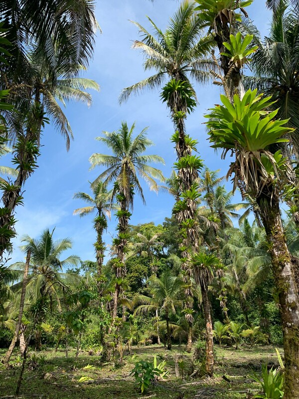 Bocas Del Toro, Bocas Del Toro, Panama