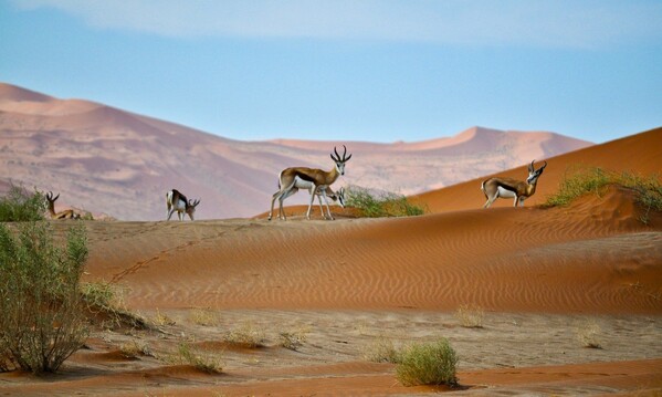 Sossusvlei-Hardap-Namibie