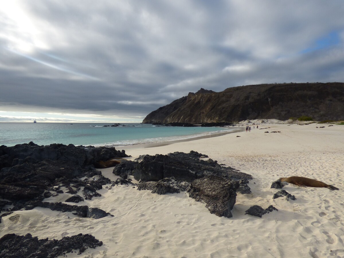 Voyage dans les îles des Galápagos